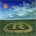 �~�`�V���x~a road home~
