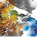 �����̃����f�B(���񐶎Y�����A)(DVD�t)
