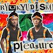pleasure(���񐶎Y�����)(DVD�t)