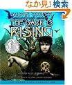 The Dark Is Rising Sequence, Book Two: The Dark Is Rising