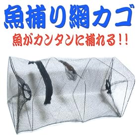 ����I�G�T�����Ē��߂邾���I�ȒP�ɋ����߂��I���߂�Ԃ���