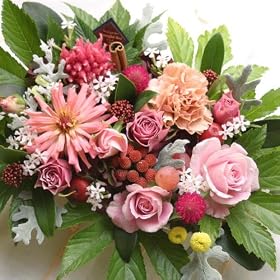 �t�����[�P�[�L�y �A�����W�����g�@�L�O���@�a�����@�t�����[�M�t�g�@�ԁ@�V�z�j���@�J�X�j���@�s���N�n wa �z