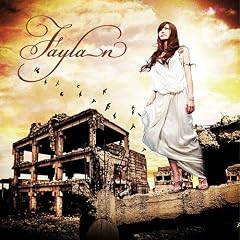 �I���̃t���N�^��(��������)(DVD�t)