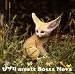 �W�u�� meets Bossa Nova