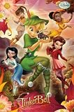  Disney Fairies (Tinkerbell, Group) 3-D Art Poster Lenticular Print - 12