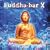 Buddha-Bar, Vol. 10