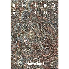BONDS FINAL [DVD]