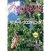 NOUVEAU�O�A��VOL.13 ���]�[�g�E�G�f�B���O