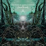 [CD]The Sound of Animals Fighting The Ocean and the Sun