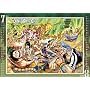 ONE PIECE 2010 �R�~�b�N�J�����_�[