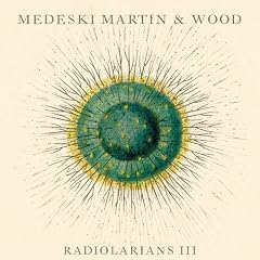 Radiolarians 3 (Dig)