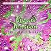 Liquid Tension Experiment 1