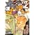 ���̔h VOL.11 �I���W�󊿑S�U�� (�A�N�A�R�~�b�N�X)