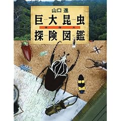 �����勐�卩���T���}�� (�������̂ۂ�����)