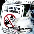 NEVER FXXKIN�fMIND THE RULES