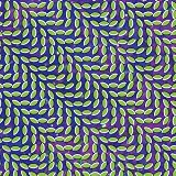 [CD]Animal Collective Merriweather Post Pavillion
