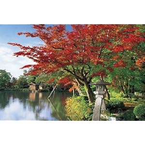 【クリックで詳細表示】パズルの超達人 2016ピース 秋香る兼六園-石川 23-541