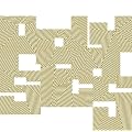 Absolute POLYSICS(���񐶎Y�����)(DVD�t)