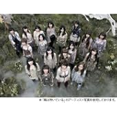 ＞ 【アマゾン】AKB48 新曲　25thシングル 各種 ＜