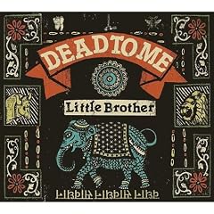 Little Brother (Dlcd) [12 inch Analog]