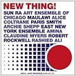 New Thing [12 inch Analog]