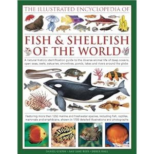 【クリックでお店のこの商品のページへ】The Illustrated Encyclopedia of Fish & Shellfish of the World: A Natural History Identification Guide to the Diverse Animal Life of Deep Oceans, Open Seas, Estuaries, Shorelines, Ponds, Lakes and Rivers Around the: Daniel Gilpin: 洋書