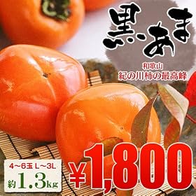 11/28~12/3�o�ׁ@�ɏ�́w�����ʓ��x�@�I�̐�`�ō���@�a�̎R�Y �@�w�����܁x�@��������1.3kg �i4~6�ʁj