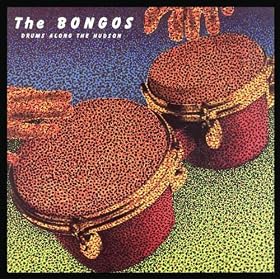 Drums Along The Hudson