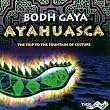 Ayahuasea