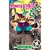 �Lmix����杂Ƃ炶 3 (�t�����[�R�~�b�N�X�A���t�@)