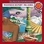 Mr. Gone