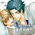BiNETSU�u�鏑�琬���B�v�h���}CD