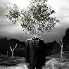 9mm Parabellum Bulletのアルバムの画像