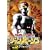 ���{���{�W�����p�[�\�� VOL.2 [DVD]