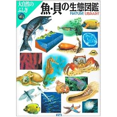 ���E�L�̐��Ԑ}�� (�厩�R�̂ӂ���)