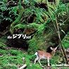 DAISHI DANCEのアルバムの画像