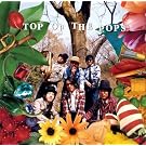 TOP OF THE POPS