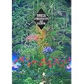 �����`��4&CHILDREN of MANA�����ݒ莑���W