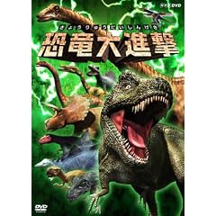 ������i�� [DVD]