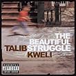Beautiful Struggle