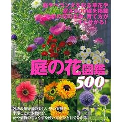 ��̉Ԑ}��500�\���x�����_���ʂ鑐�Ԃ���500����f�� �ŐV�̉Ԃ̖��O�A��ĕ��������킩��! (��w�̗F�����V���[�Y)