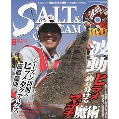 SALT & STREAM (�\���g�A���h�X�g���[��) 2009�N 08���� [�G��]
