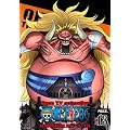 ONE PIECE �����s�[�X 10TH�V�[�Y�� �X�����[�o�[�N�� piece.13 [DVD]