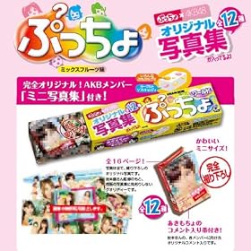 �Ղ����像�[���h AKB48 �ʐ^�W BOX (�H��)