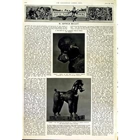 1952 �N�̃G�x���X�g Lhotse �s�G�[���̐��� Haseltine