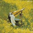 Dulcimer