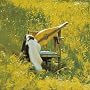 Dulcimer