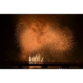 Nikon �f�W�^����჌�t�J���� D3100