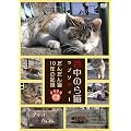 �J���̂�L���v�\�f�B�[~���񂾂�L10�N�̋L�^~ [DVD]