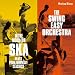 IN THE MOOD FOR SKA~PLAYS PUNK,NEWWAVE CLASSICS